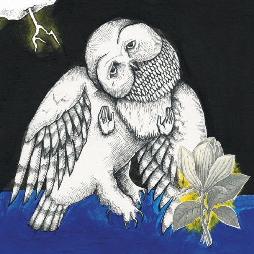 Detailed illustration of an owl with a magnolia flower, dark background.