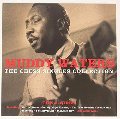 Muddy Waters album cover featuring a portrait of the blues musician.
