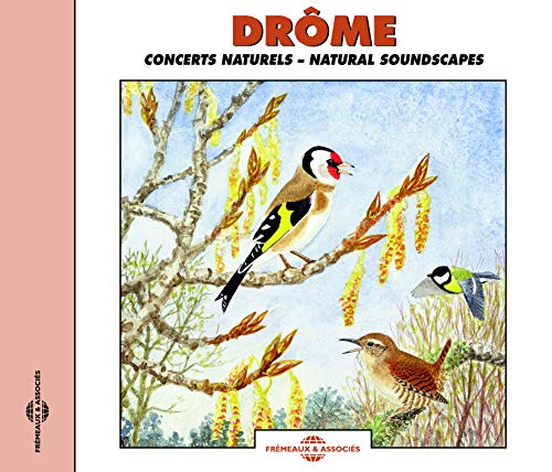 CD cover with painted birds on branches against a pale blue sky.