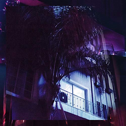 Dark, grainy image of a building with a palm tree at night.