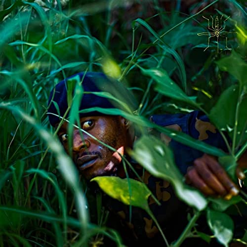 Man partially hidden in lush green foliage, vinyl album cover.