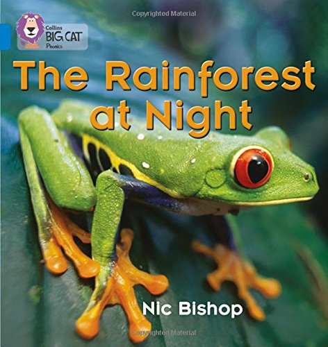 The Rainforest at Night: Meet the animals and insects that live in the rainforest (Collins Big Cat Phonics): Blue/Band 4