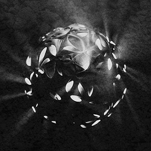 Black and white vinyl record cover with a floral, abstract design.