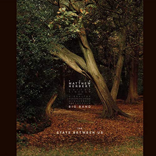 CD cover featuring a forest with fallen leaves and text overlay in the center.