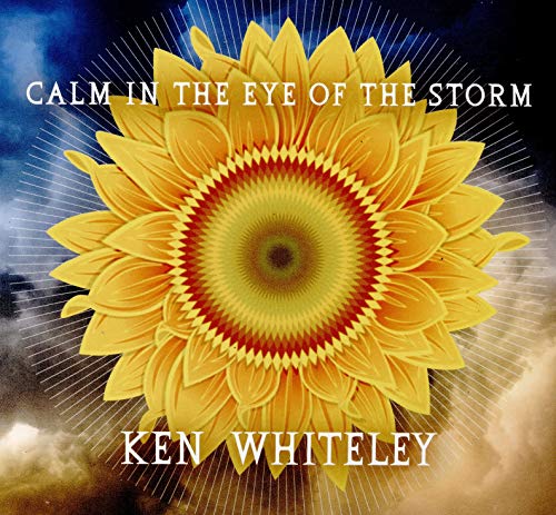 CD cover: sunflower with radiating lines against a stormy sky.