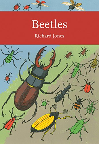 Book cover with illustrated beetles, including a large stag beetle.