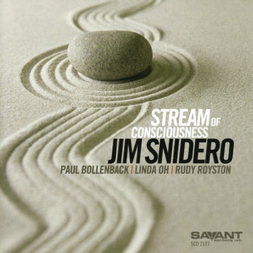 Album cover featuring a smooth stone in raked sand with artist and title text.