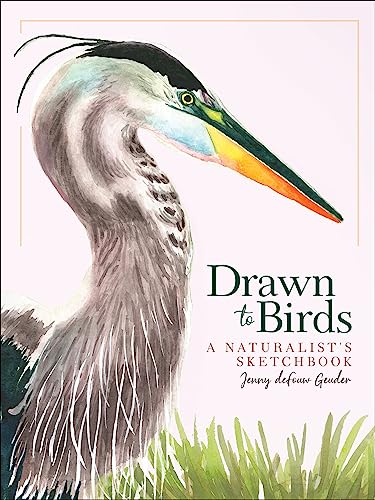 Drawn to Birds: A Naturalists Sketchbook