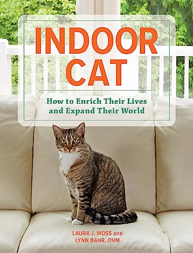 Indoor Cat : How to Enrich their Lives and Expand their World