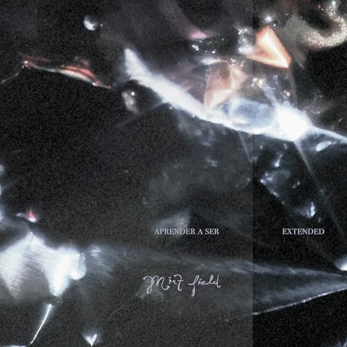 Album cover with abstract dark, grainy textures and light flares, featuring artist and title text.