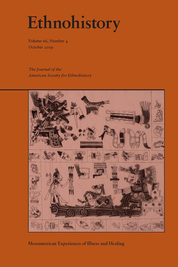 Mesoamerican Experiences of Illness and Healing