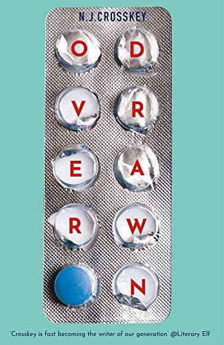 Overdrawn: A Guardian Book of the Month