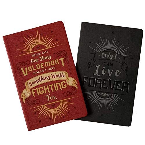 Harry Potter: Character Notebook Collection: Set of 2: Harry and Voldemort (Harry Potter Character Journal): Harry Potter and Voldemort