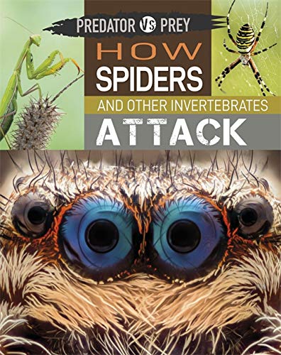 How Spiders and other Invertebrates Attack (Predator vs Prey)