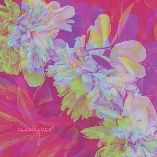 Close-up of colorful, abstract floral arrangement with text “Flatwaves”.