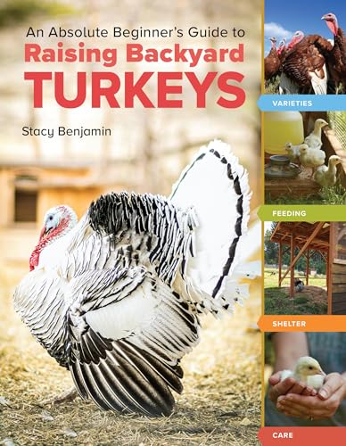 An Absolute Beginner's Guide to Raising Backyard Turkeys : Varieties, Feeding, Shelter, Care