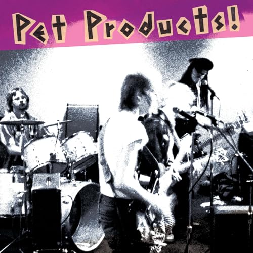 Black and white photo of a band performing on stage.