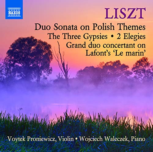 CD cover for Liszt’s works featuring a misty landscape and text.