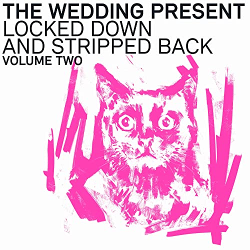 Album cover: pink cat portrait with bold black text above.
