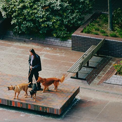 Woman walking three dogs on a brick-paved area near greenery.