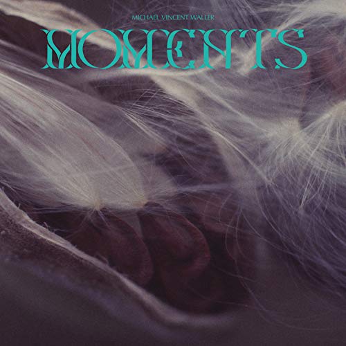 CD cover for Michael Vincent Walker’s “Moments” with abstract, blurred imagery.