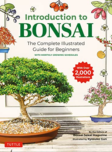 INTRODUCTION TO BONSAI
