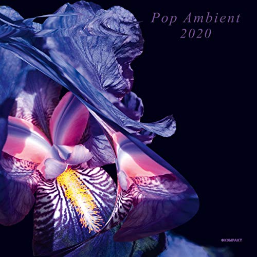 CD cover for “Pop Ambient 2020” featuring a close-up of orchids.