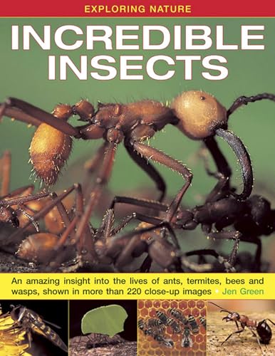 Exploring Nature : Incredible Insec