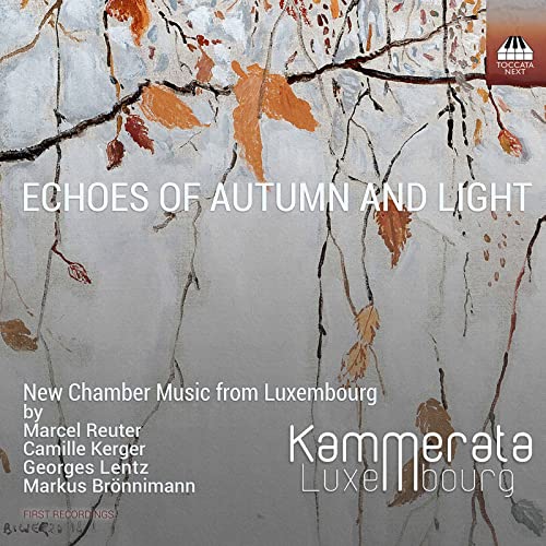 CD cover with autumnal branches, text “Echoes of Autumn and Light”, and artist names.