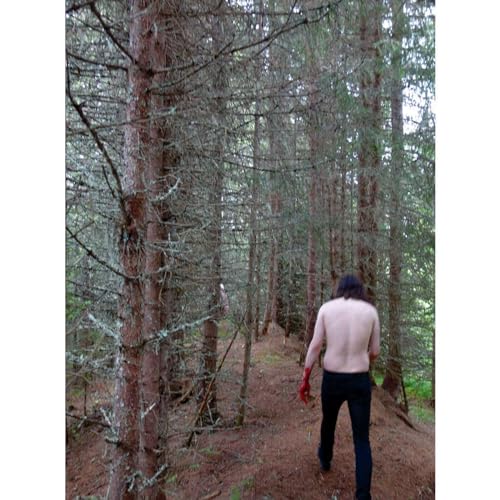 Person seen from behind walking through a dense, tall forest.