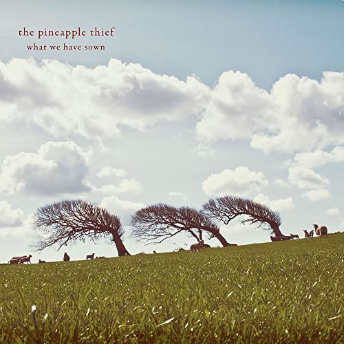 Album cover showing sheep grazing in a grassy field with wind-swept trees under clouds.