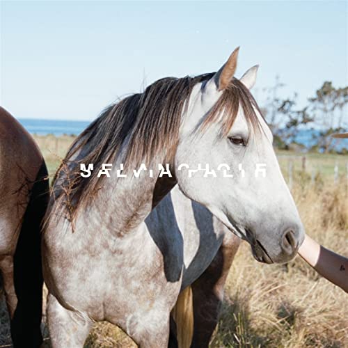CD cover featuring a grey horse in a grassy field, with text overlay.
