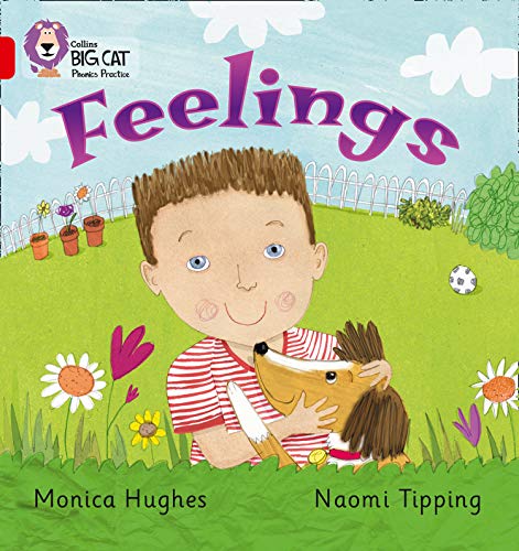 Feelings: A gentle non-fiction book which examines feelings (Collins Big Cat Phonics)