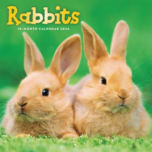 Rabbits Square Wall Sunday Start Calenda