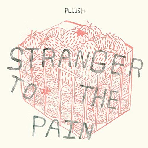 CD cover for Pllush’s “Stranger To The Pain” with orange fruit illustration.