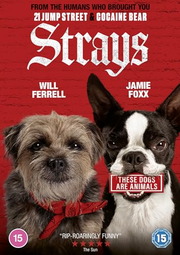 DVD cover featuring a shaggy dog and a Boston Terrier against a red background.