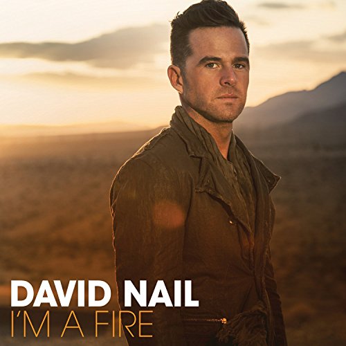 David Nail album cover, portrait of singer against a desert landscape.