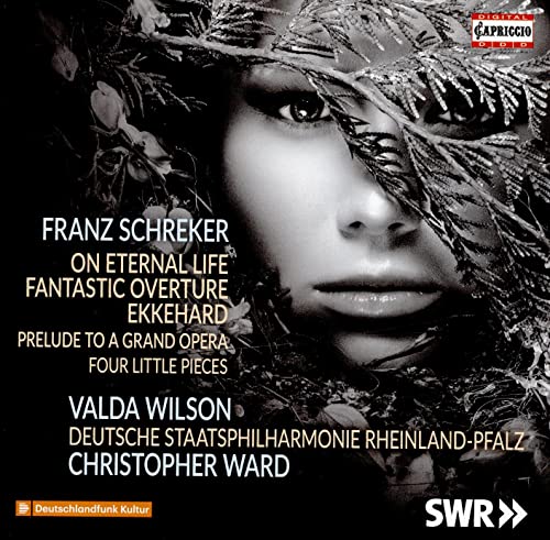 CD cover featuring a close-up of a woman’s face obscured by branches.