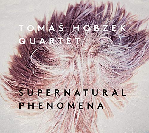 CD cover for "Supernatural Phenomena" by Tomáš Hobzek Quartet, feathery image.