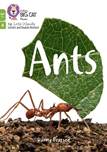 Ants : Phase 4 Set 2