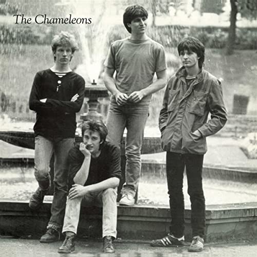 Black and white photo of four young men posing near a fountain.