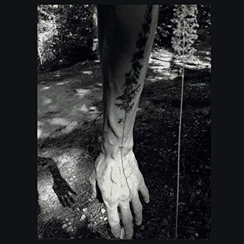 Black and white album cover featuring an arm with floral tattoos in a forest.