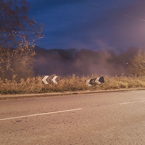 Nighttime road scene with chevron signs and hazy, silhouetted trees.