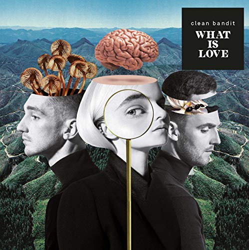 CD cover art: three faces with brains, mushrooms, and a magnifying glass.
