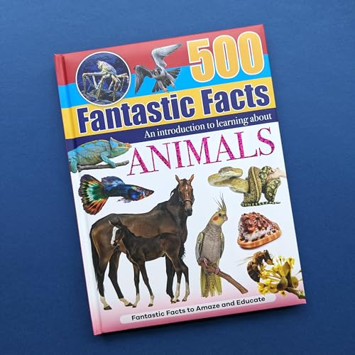 Animals