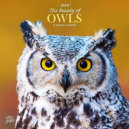 The Beauty of Owls | 2024 12 x 24 Inch Monthly Square Wall Calendar | Sticker Sheet | StarGifts | Wildlife Animals Birds