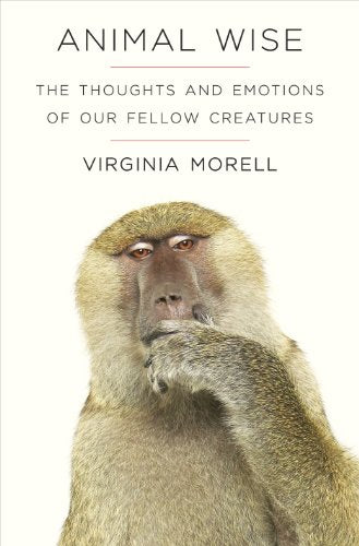 Animal Wise : The Thoughts and Emotions of Animals