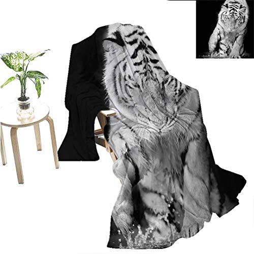 Tiger-printed plush blanket draped over a chair, with a potted plant nearby.