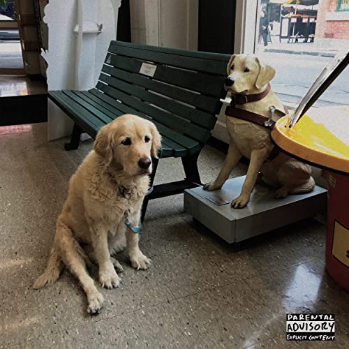 Album cover: two golden retrievers sit near a bench and scale.
