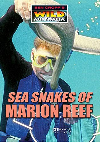 DVD cover featuring a diver with a sea snake in turquoise water.